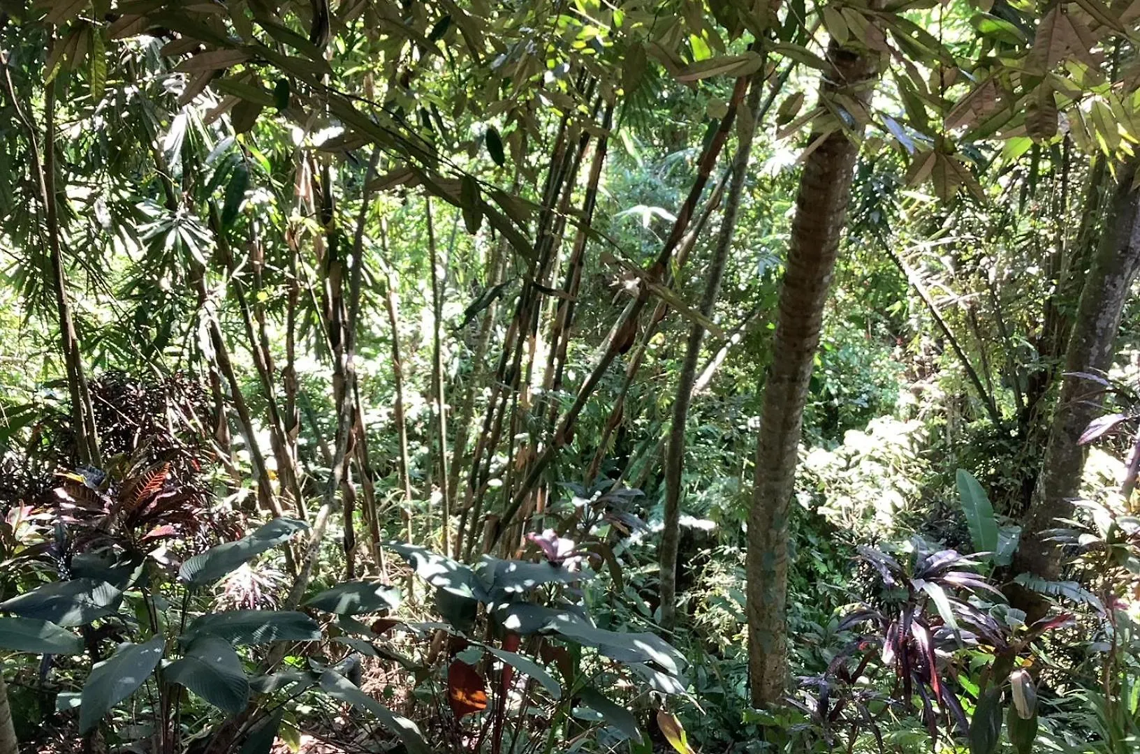 Jungle Hideaway Villas Unit 4 - River View Apartamento Ubud