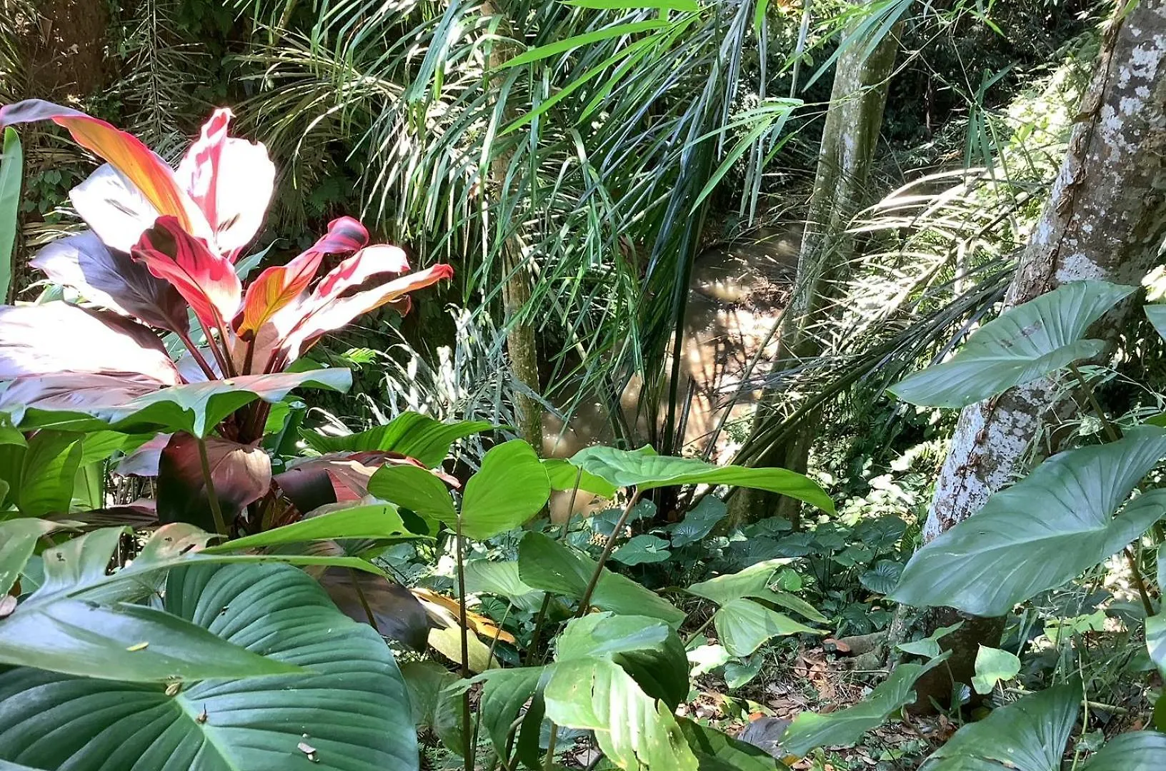 Jungle Hideaway Villas Unit 4 - River View 0*, Ubud Indonésie