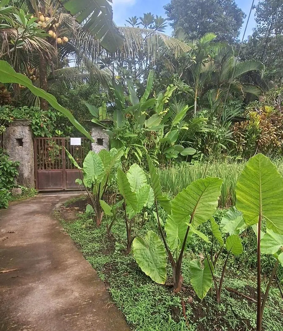 Jungle Hideaway Villas Unit 4 - River View Indonésie